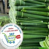  Lá chuối tươi 