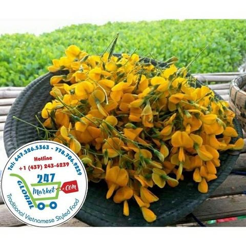  Bông điên điển 