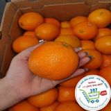  Cam mỹ• 