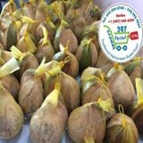  Dừa Sáp (trái tầm 1 - 1,2kgs/ trái)* 