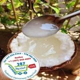  Dừa Sáp (trái tầm 1 - 1,2kgs/ trái)* 
