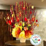  Hoa nụ tầm xuân.. 