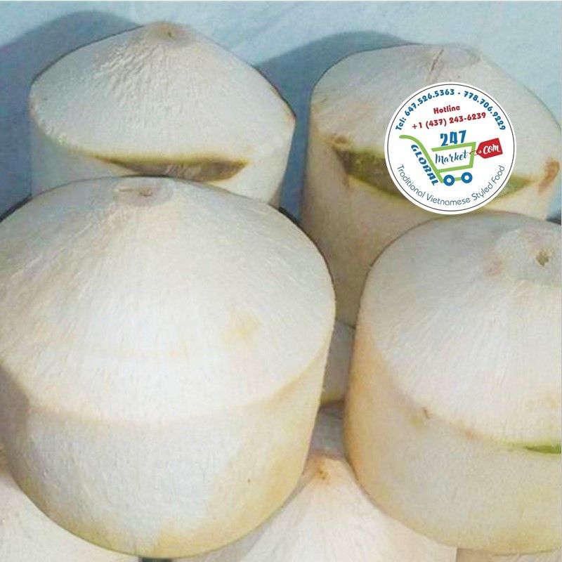  Trái dừa tươi 