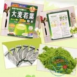  Trà lúa mạch non nhật bản 