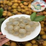  Nhãn xuồng cơm vàng* 