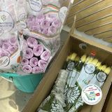  Hoa cúc đại đóa° 