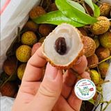  Vải thiều* 