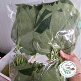  Lá lốt° 