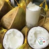  Dừa Sáp (trái tầm 1 - 1,2kgs/ trái)* 