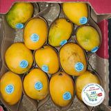  Xoài Mini Columbia• 