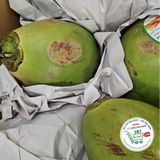  Dừa tươi 