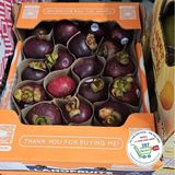  Măng cụt Columbia° 