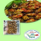  Ốc cà na 