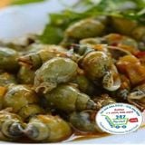  Ốc cà na 