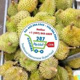  Sầu riêng tươi.. 