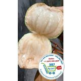  Vú sữa bơ hồng 