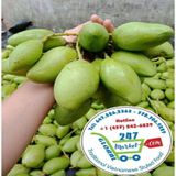  Xoài ngâm chua ngọt* 