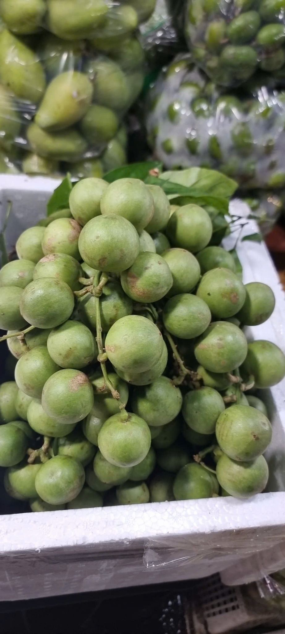  Dâu da xanh ngọt 