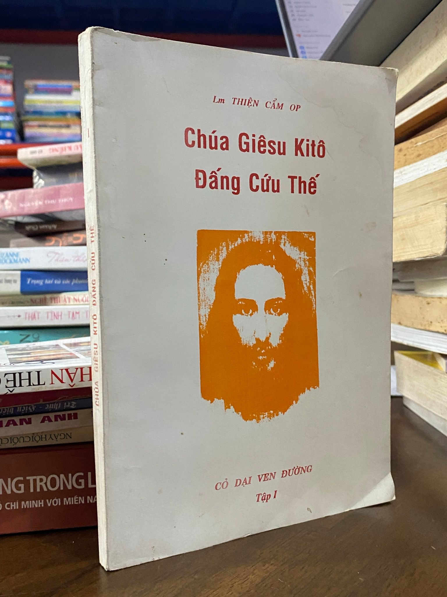  Chúa Giêsu Kitô Đấng Cứu Thế - Thiện Cẩm 