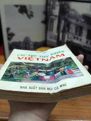 Các Thú Tiêu Khiển Việt Nam - Toan Ánh