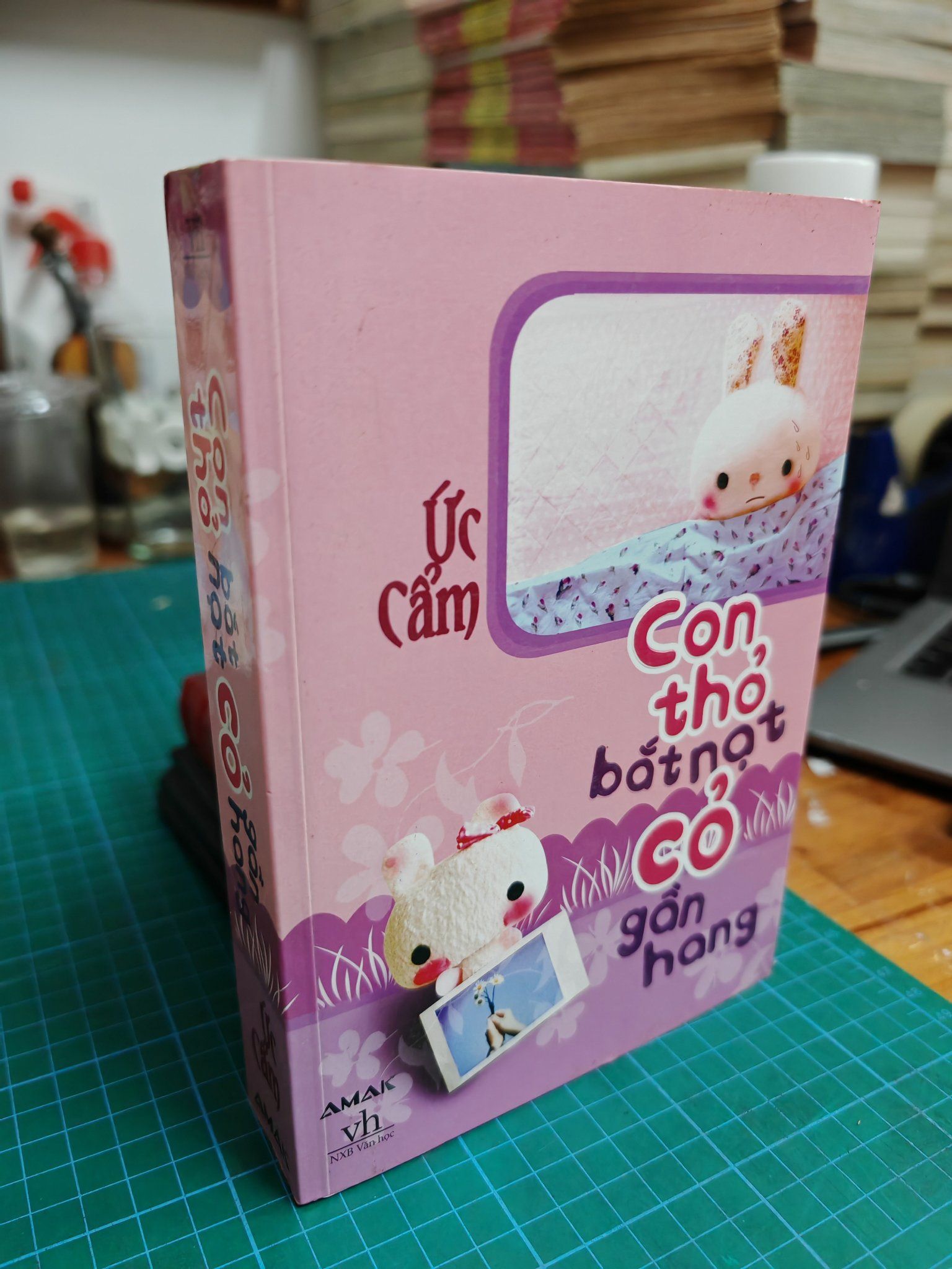  Con thỏ bắt nạt cỏ gần hang 