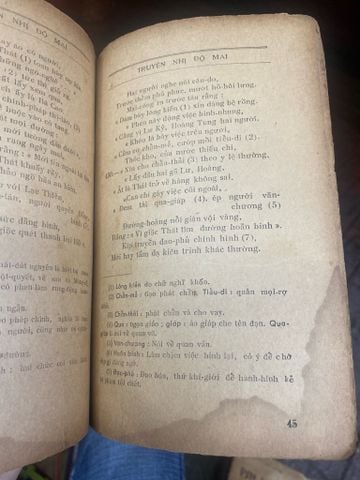  TRUYỆN NHỊ ĐỘ MAI - VÔ DANH THỊ 