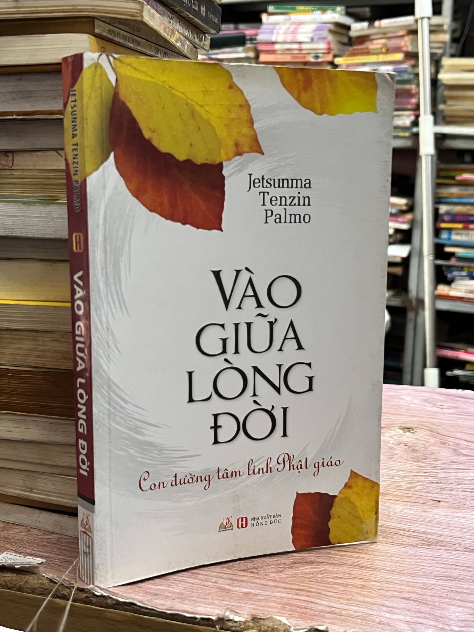  Vào giữa lòng đời - Jetsunma Tenzin Palmo 