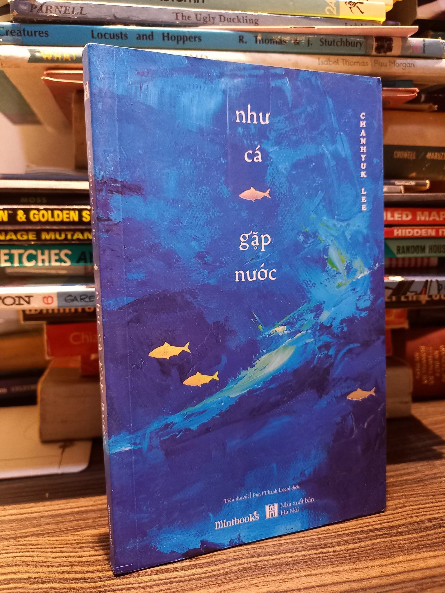  Như cá gặp nước - Chanhynk Lee 