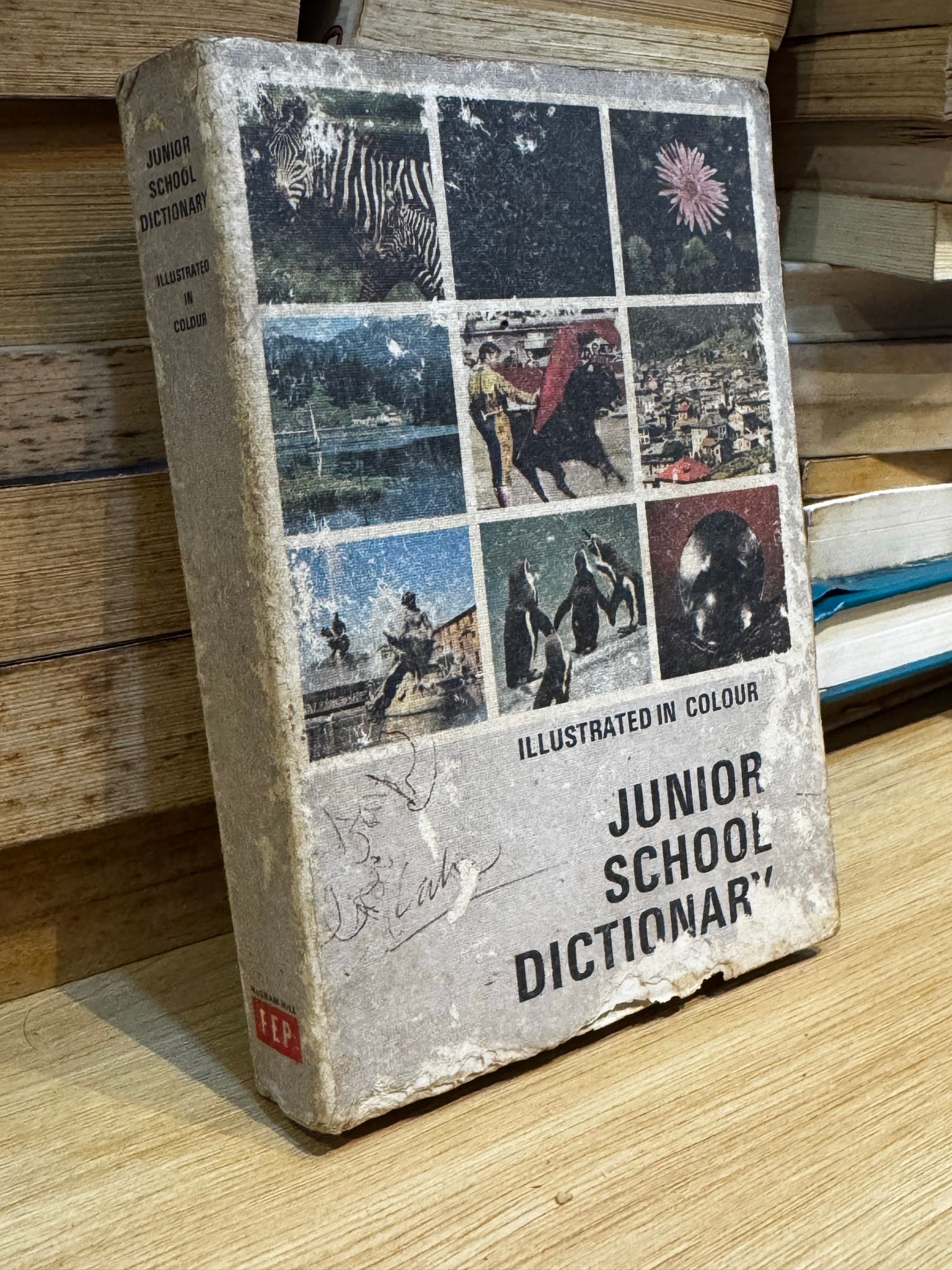  Junior School Dictionary 