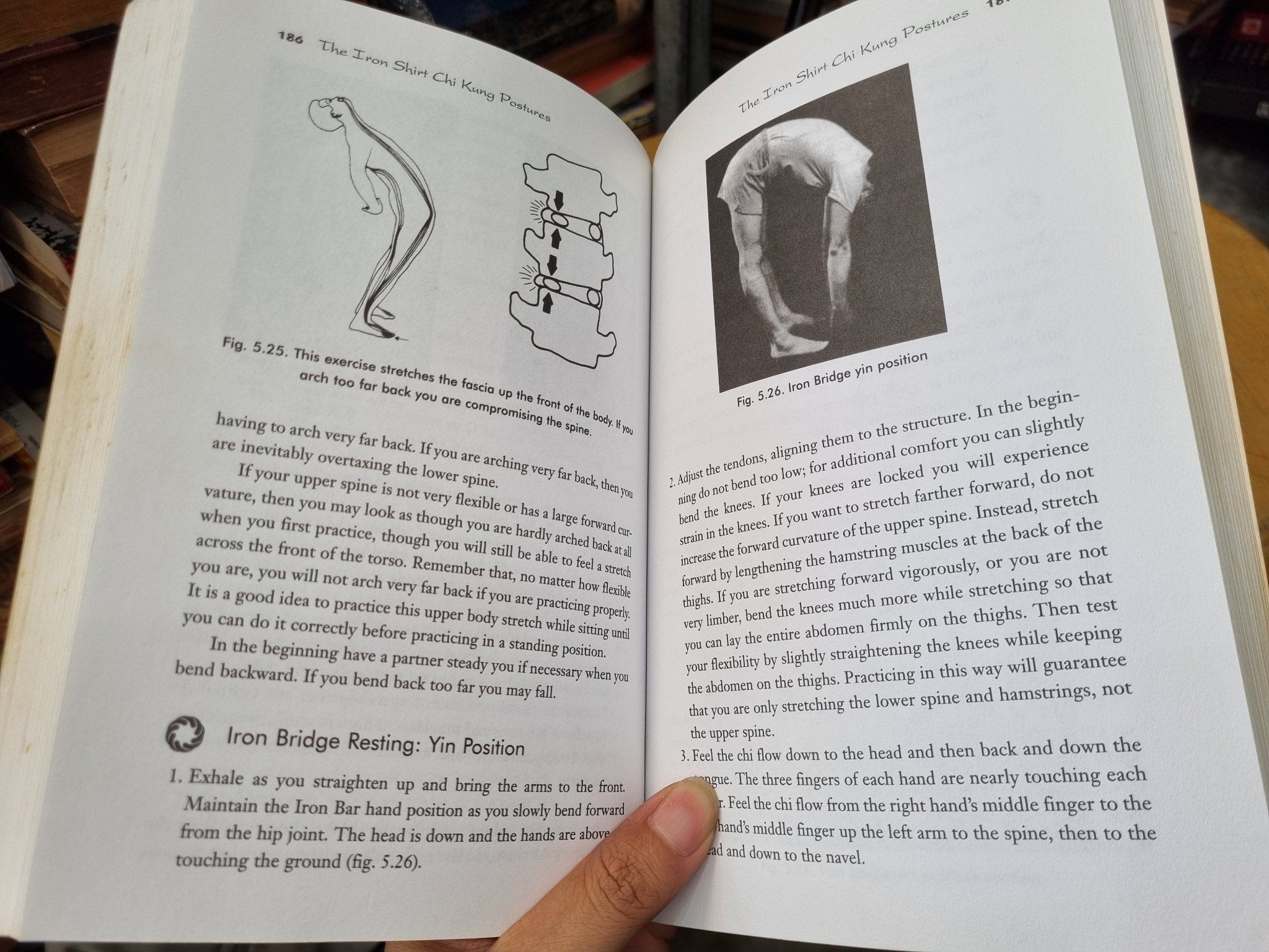 IRON SHIRT CHI KHUNG - Mantak Chia – Momo Bookstore