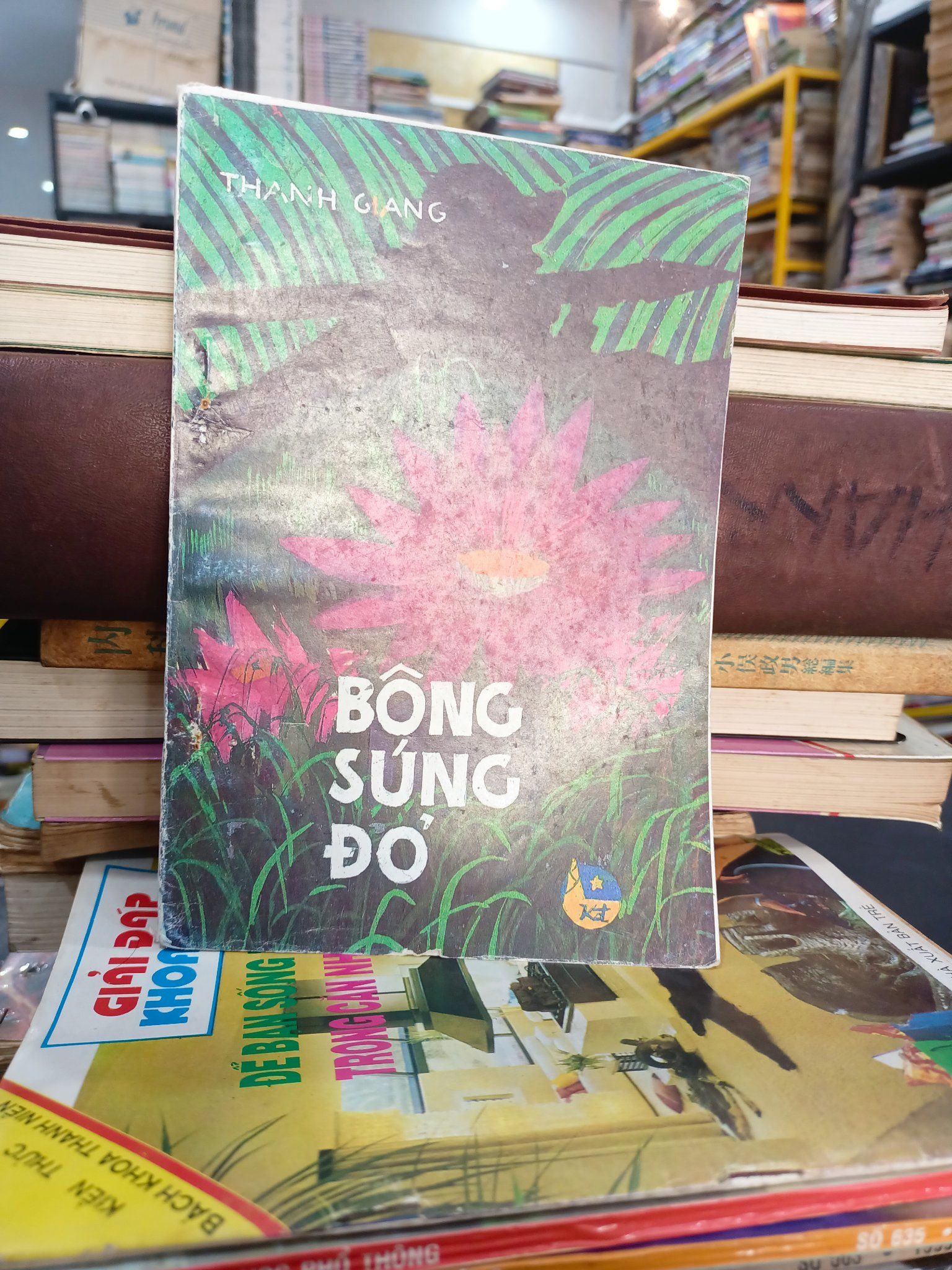  Bông súng đỏ - Thanh Giang 