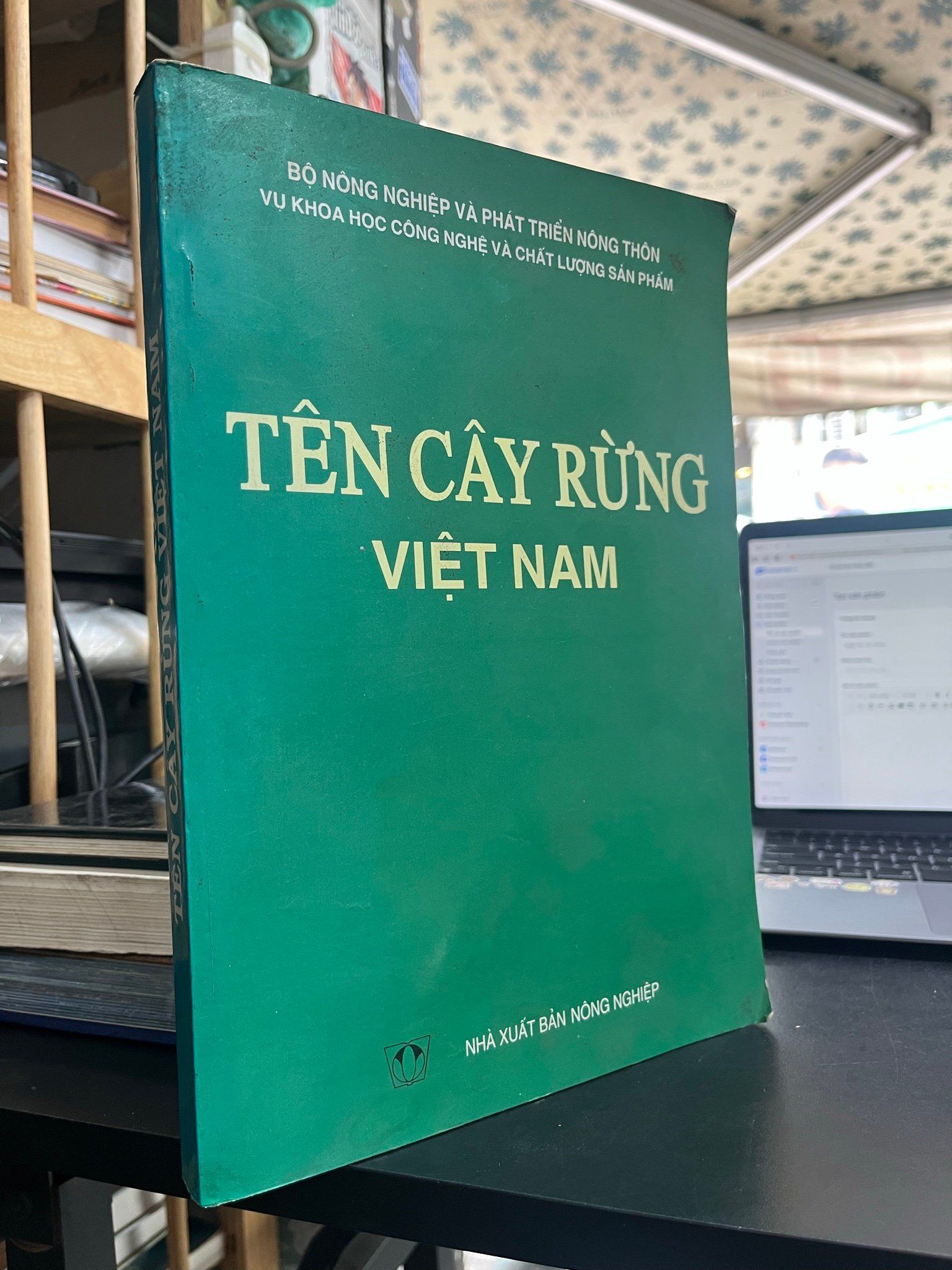  Tên cây rừng Việt Nam 