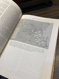  The Oxford Companion to United States History - Edited by Paul S. Boyer 