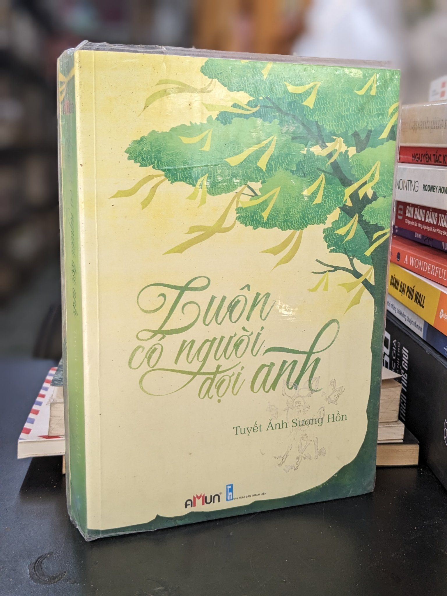  Luôn có người đợi anh - Tuyết Ảnh Sương Hồn 