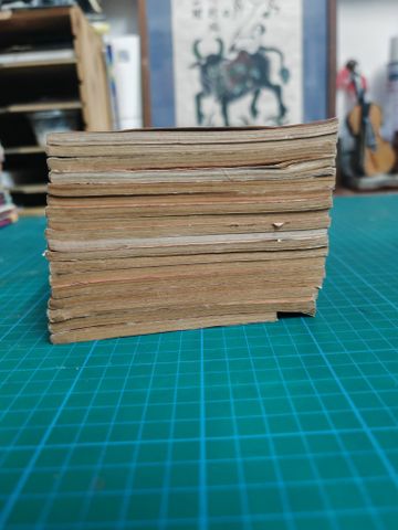  Truyện tranh chuyến đi bão táp 