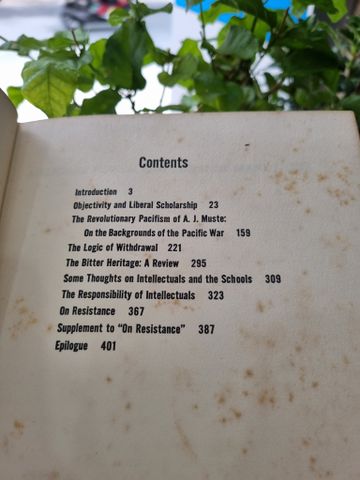  AMERICAN POWER AND THE NEW MANDARINS : HISTORICAL AND POLITICAL ESSAYS - NOAM CHOMSKY 