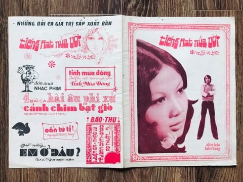 Tiếng hát nửa vời - Trần Trịnh