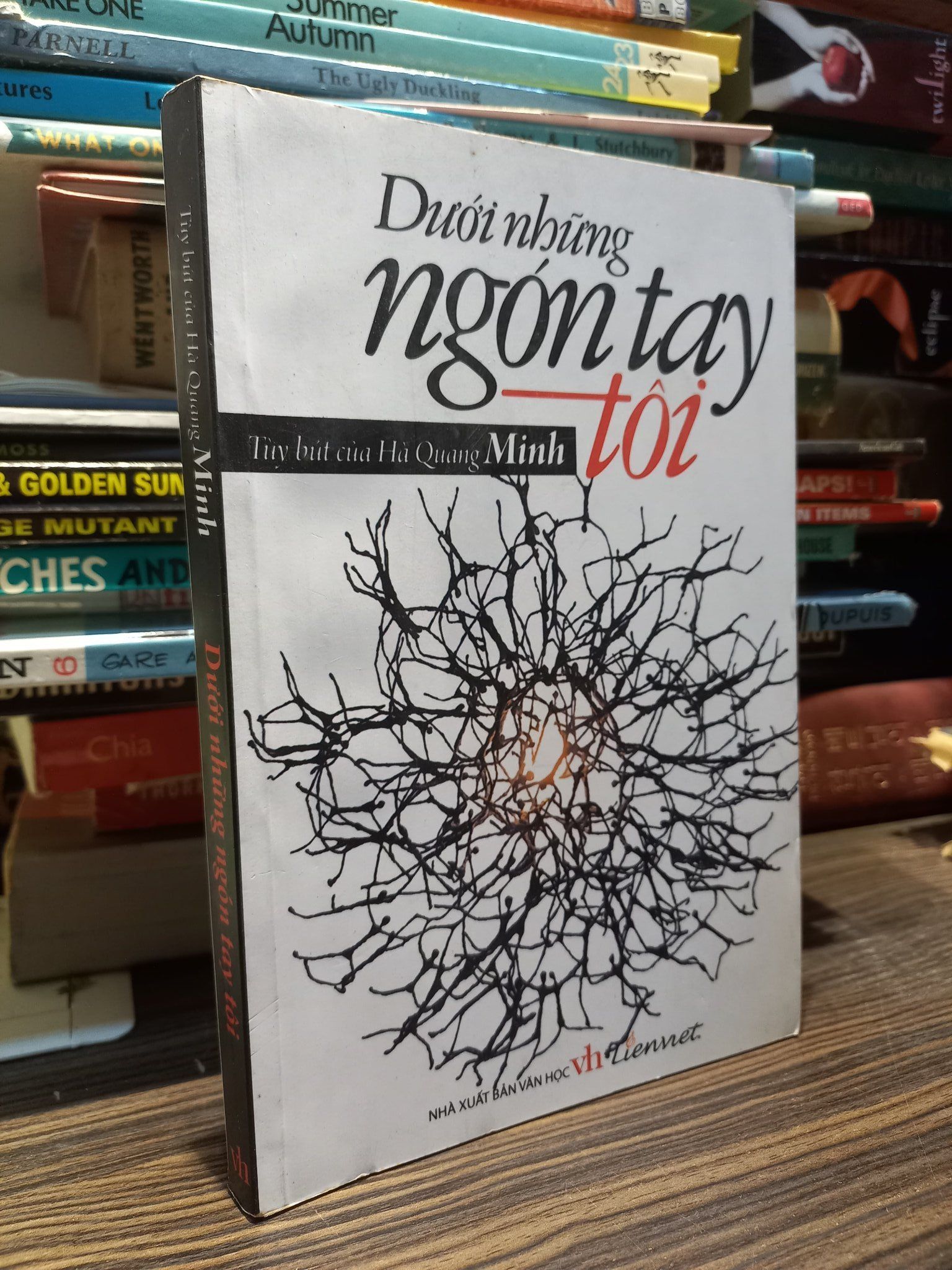  Dưới những ngón tay tôi - Hà Quang Minh 