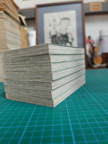  Truyện tranh Spy x Family giá rẻ  - Tatsuya Endo 