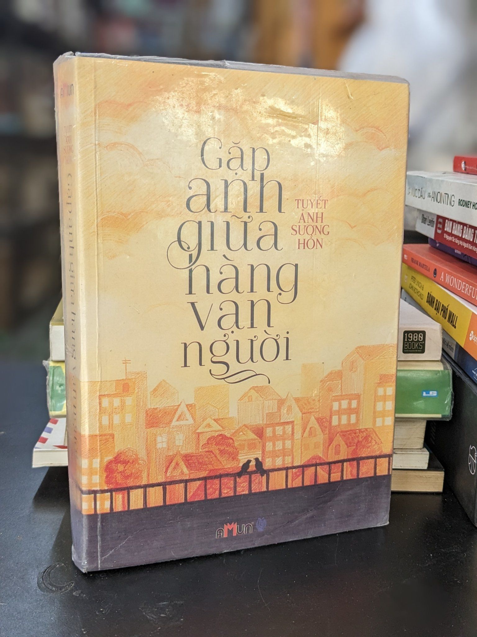  Gặp anh giữa hàng vạn người - Tuyết Ảnh Sương Hồn 