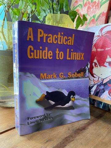 A Practical Guide to Linux - Mark G. Sobell