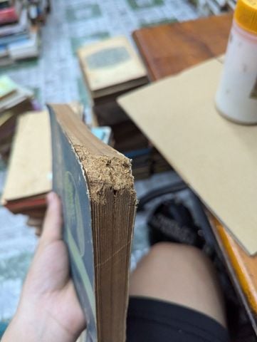  BÍ ẨN CỦA SỰ SỐNG - NGÔ TUẤN KỲ & HOÀNG CHƯƠNG 