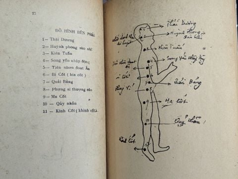  Bắc phái phật gia quyền phép điểm huyệt - thiếu lâm tự 