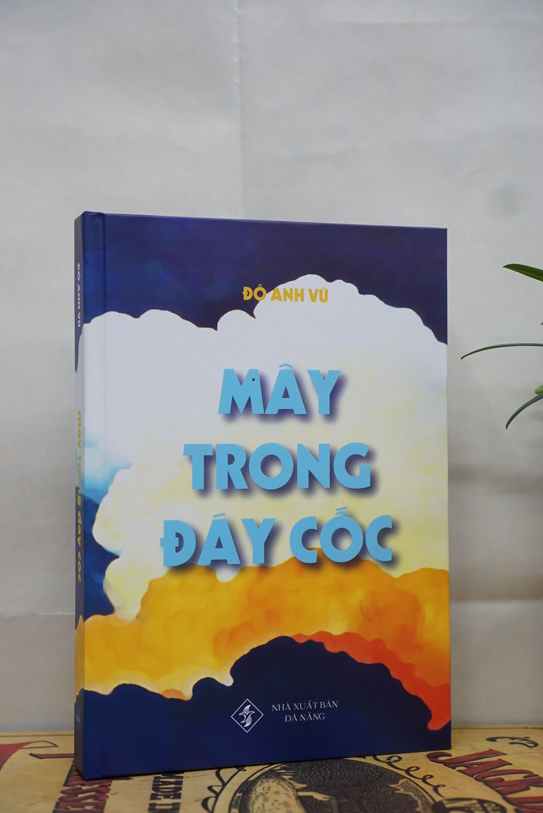  Mây Trong Đáy Cốc - Đỗ Anh Vũ 