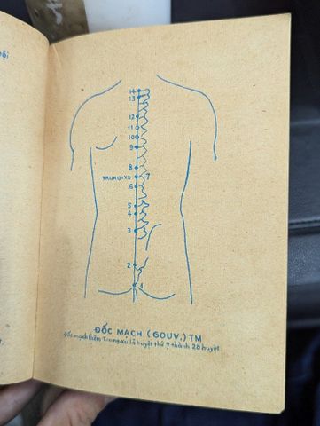  TIỂU TỪ ĐIỂN CHÂM CỨU KINH HUYỆT & BIỆT HUYỆT - THƯỢNG TRÚC 