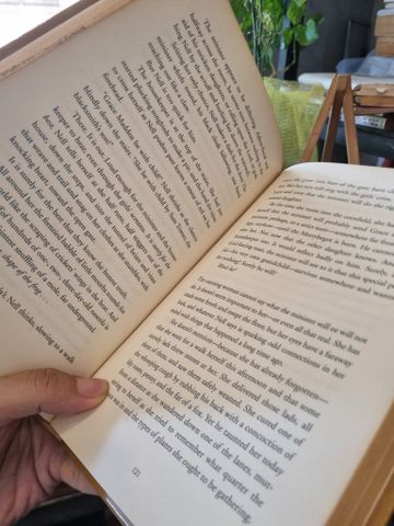  THE MINISTER'S DAUGHTER - Julie Hearn 