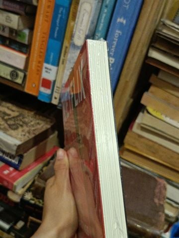  NETFLIX: Phá bỏ nguyên tắc để bứt phá - Reed Hastings & Erin Meyer (Trần Thị Ngân Tuyến dịch) 