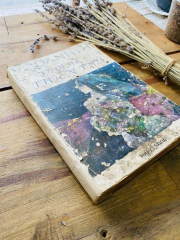  Tình Hận Thiên Thu - Vô Danh Thị (Sách Mất Trang) 