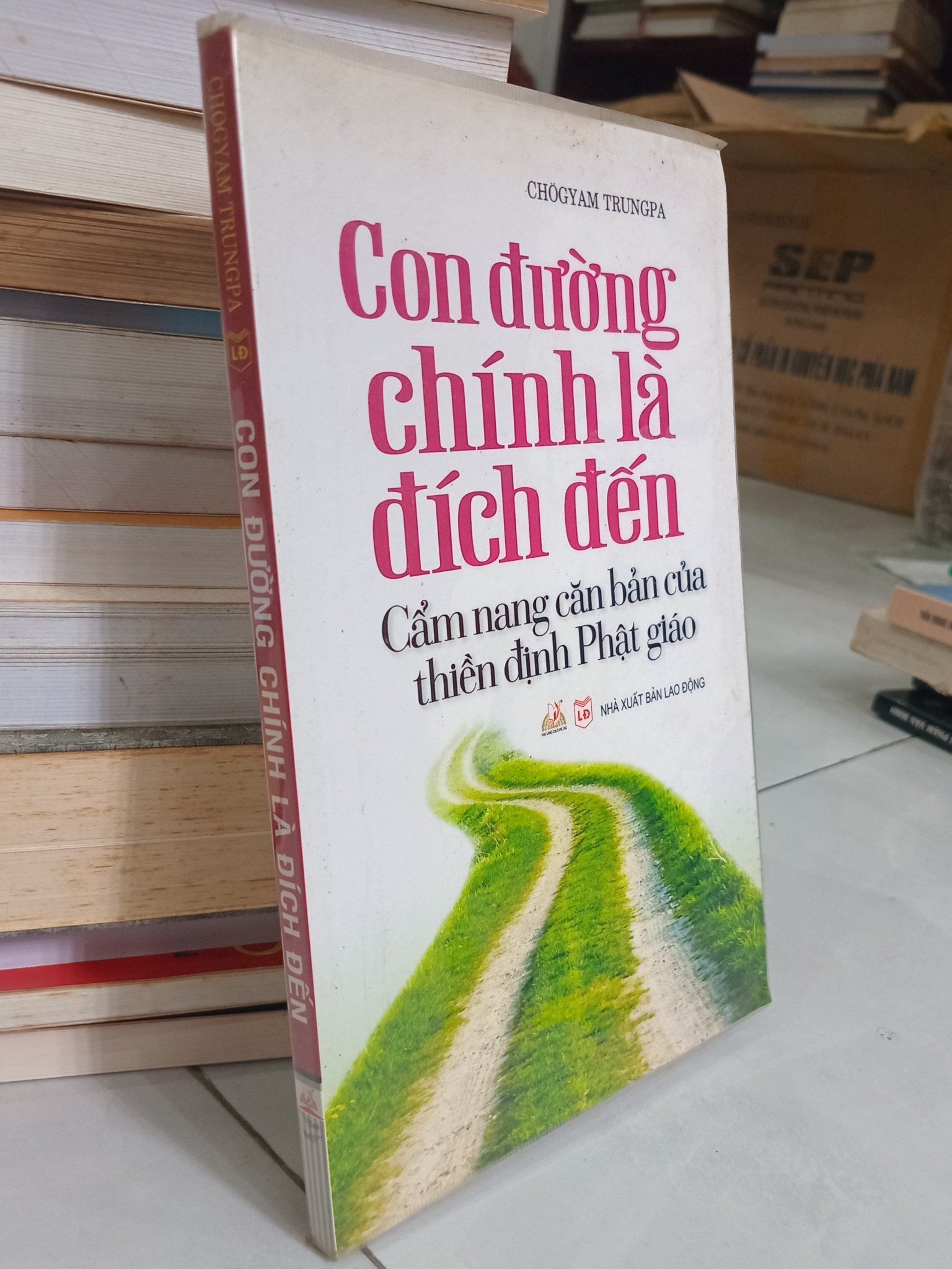  Con đường chính là đích đến - Chogyam Trungpa 