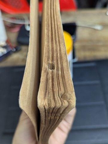  TÌM ĐẸP - ĐOÀN THÊM 